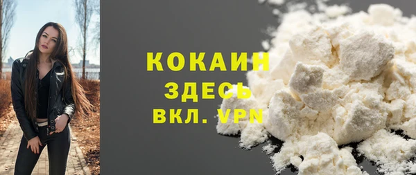 крисы Лагань
