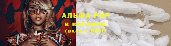 крисы Лагань