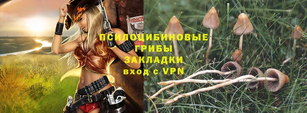 mix Лабытнанги