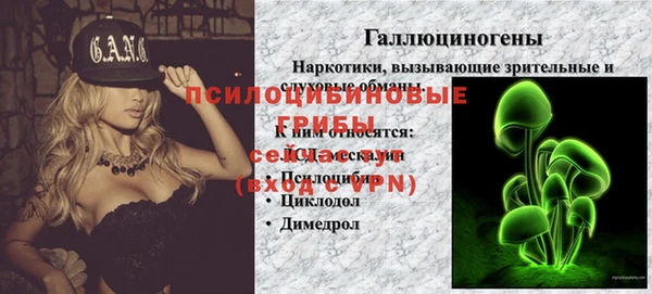 крисы Лагань