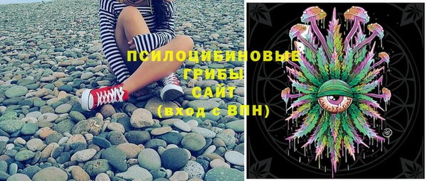 прущие крисы Ладушкин