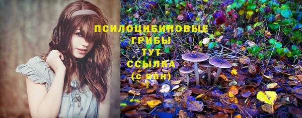 mix Лабытнанги