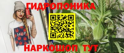 ГАЛЛЮЦИНОГЕННЫЕ ГРИБЫ Гусь-Хрустальный
