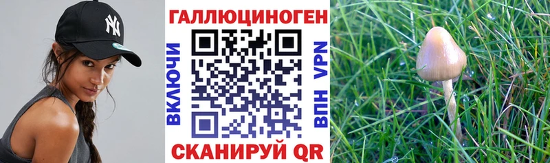 Псилоцибиновые грибы ЛСД  купить наркотики цена  Псков 