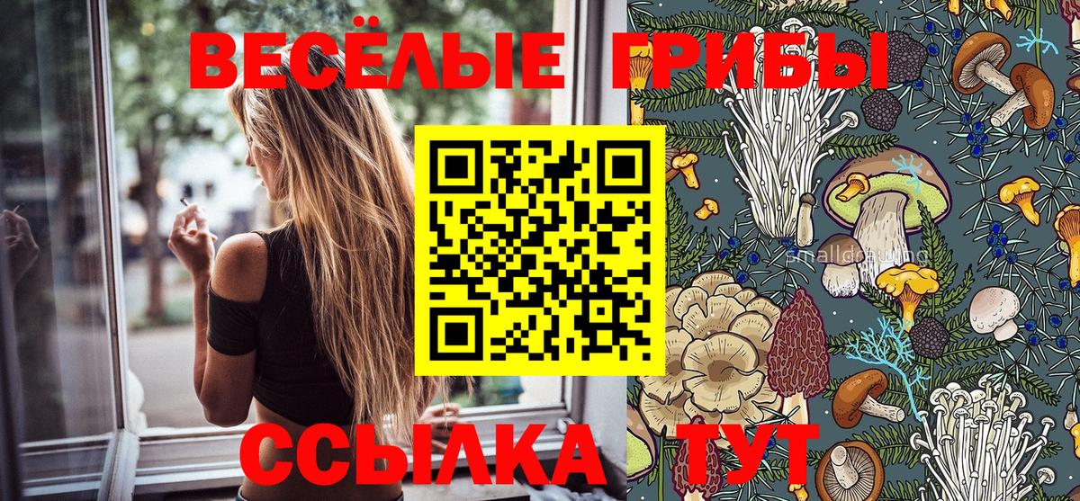 как найти закладки  Вход с VPN  Псков  Псилоцибиновые грибы Magic Shrooms  Псилоцибиновые грибы Cubensis 